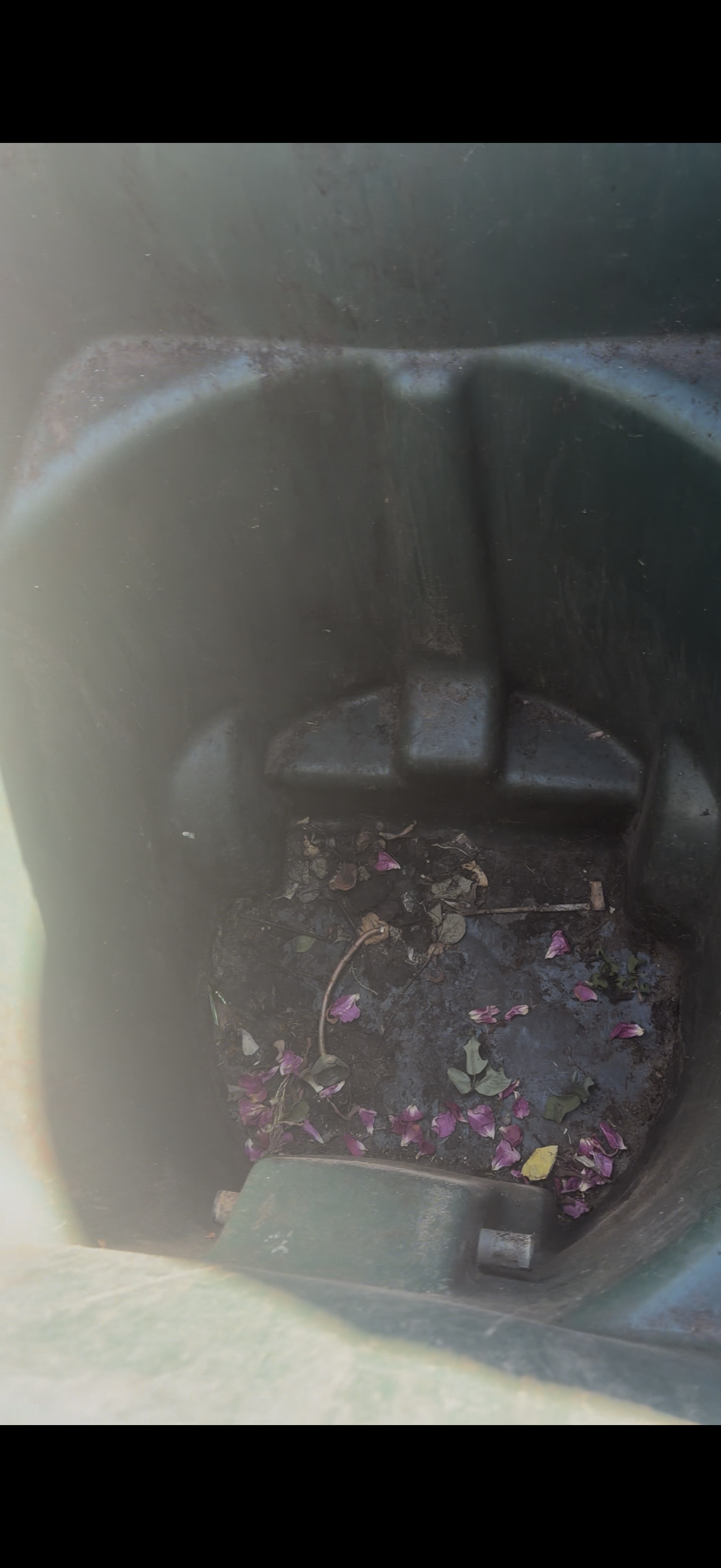 A green waste bin with dirt and food residue built up inside before cleaning.