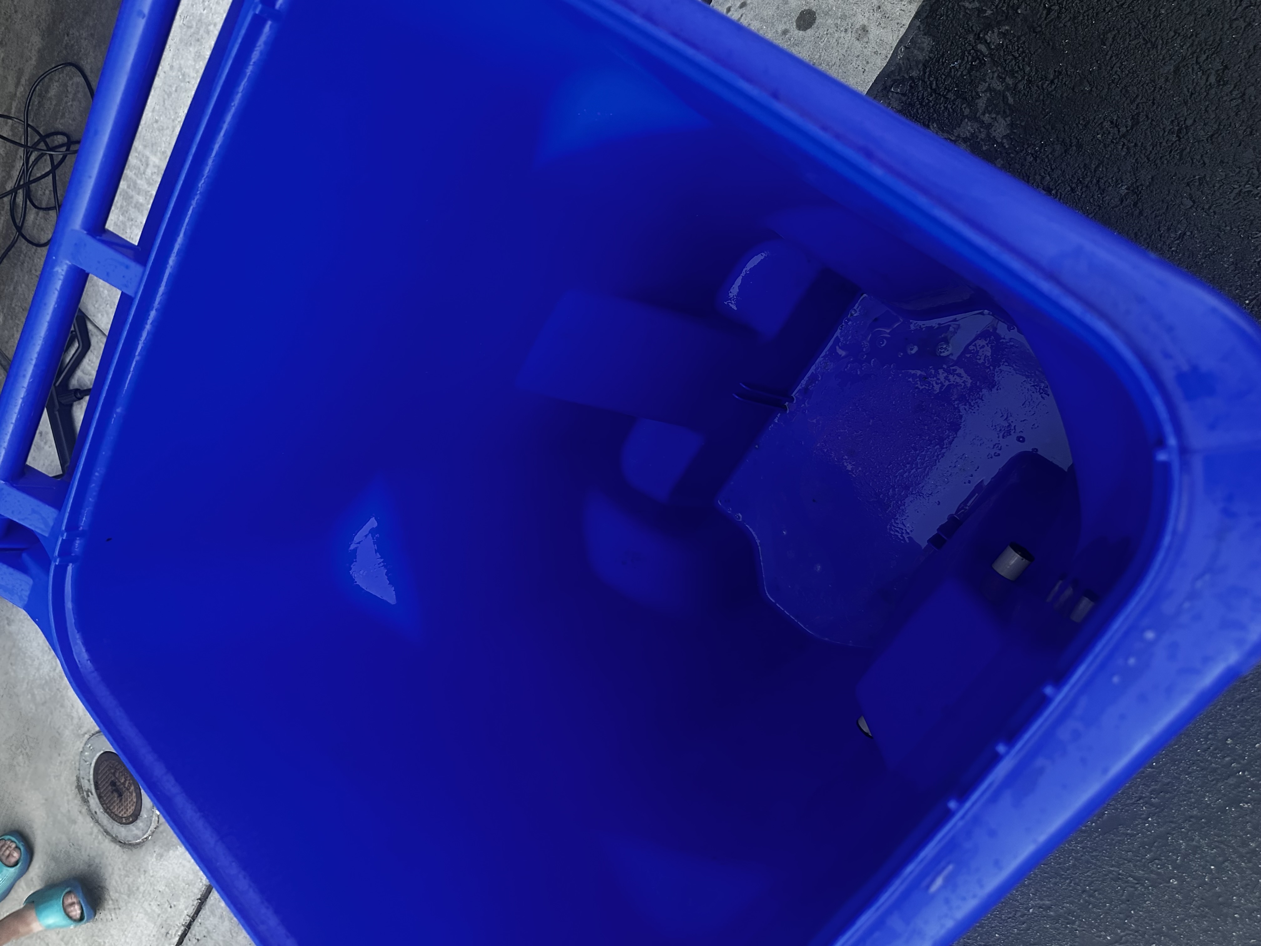 The same style of blue recycling bin after cleaning, with a bright, spotless interior.